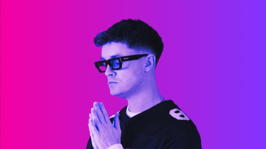 WE ARE FAMILY w/ GOOSEY image