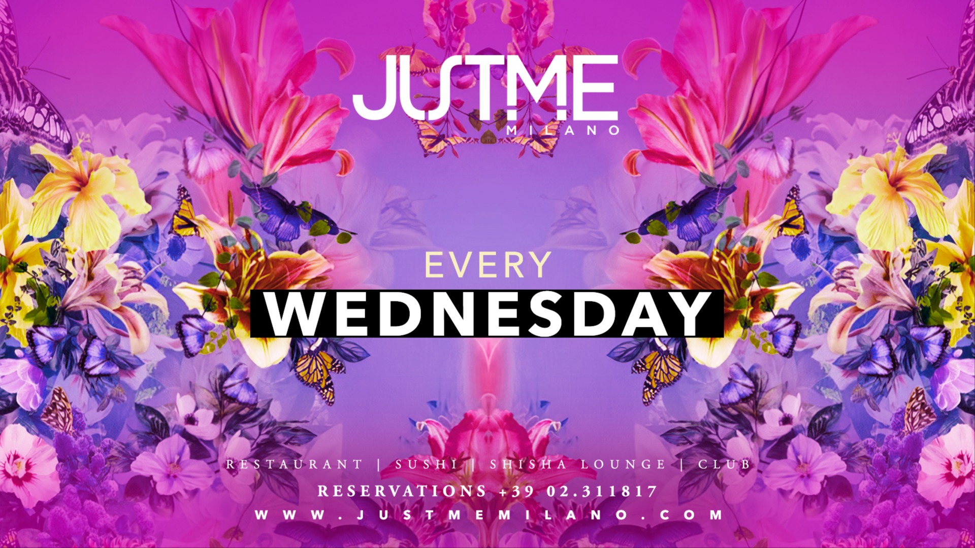 Wednesday Night image