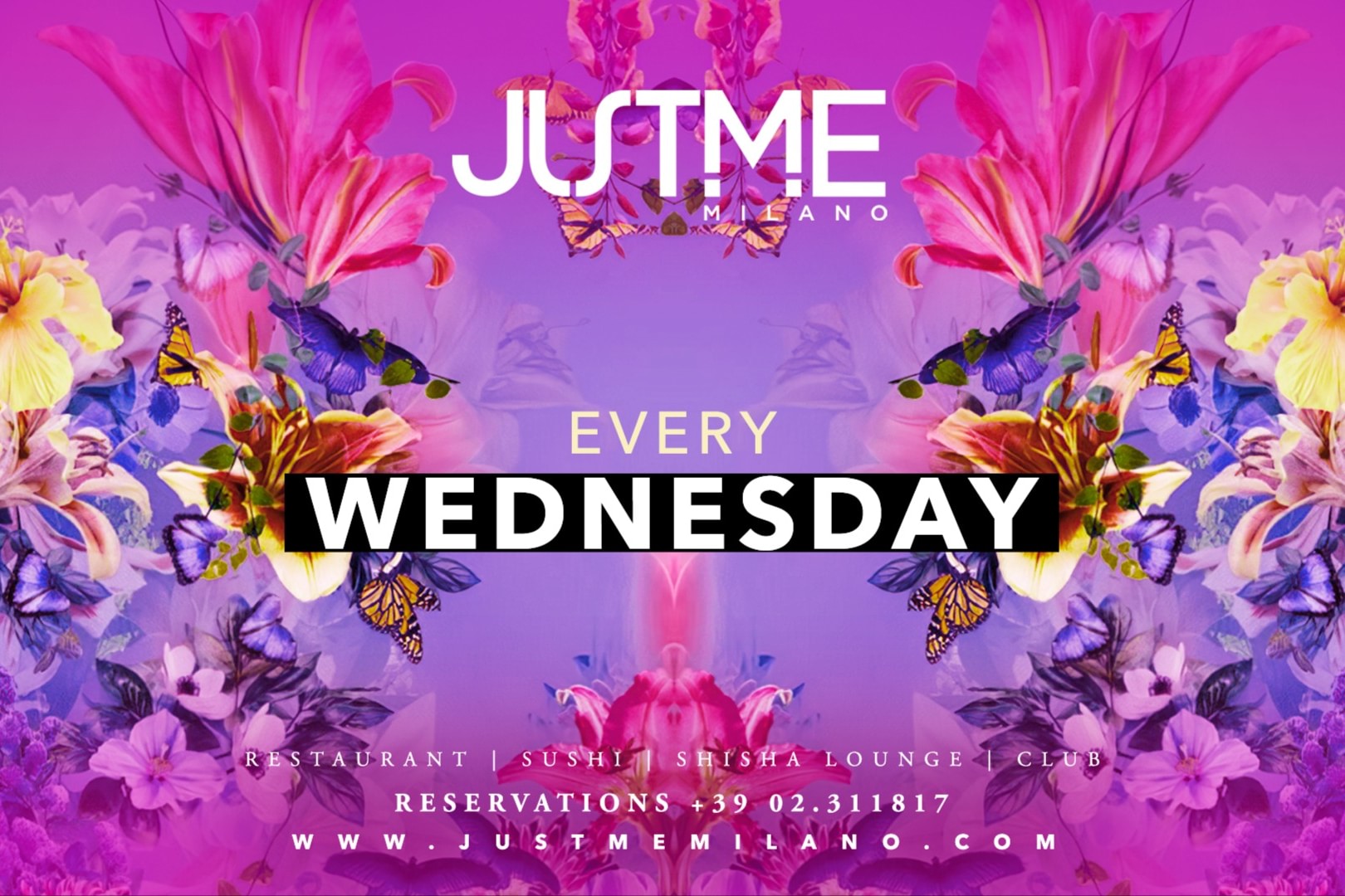 Wednesday Night image