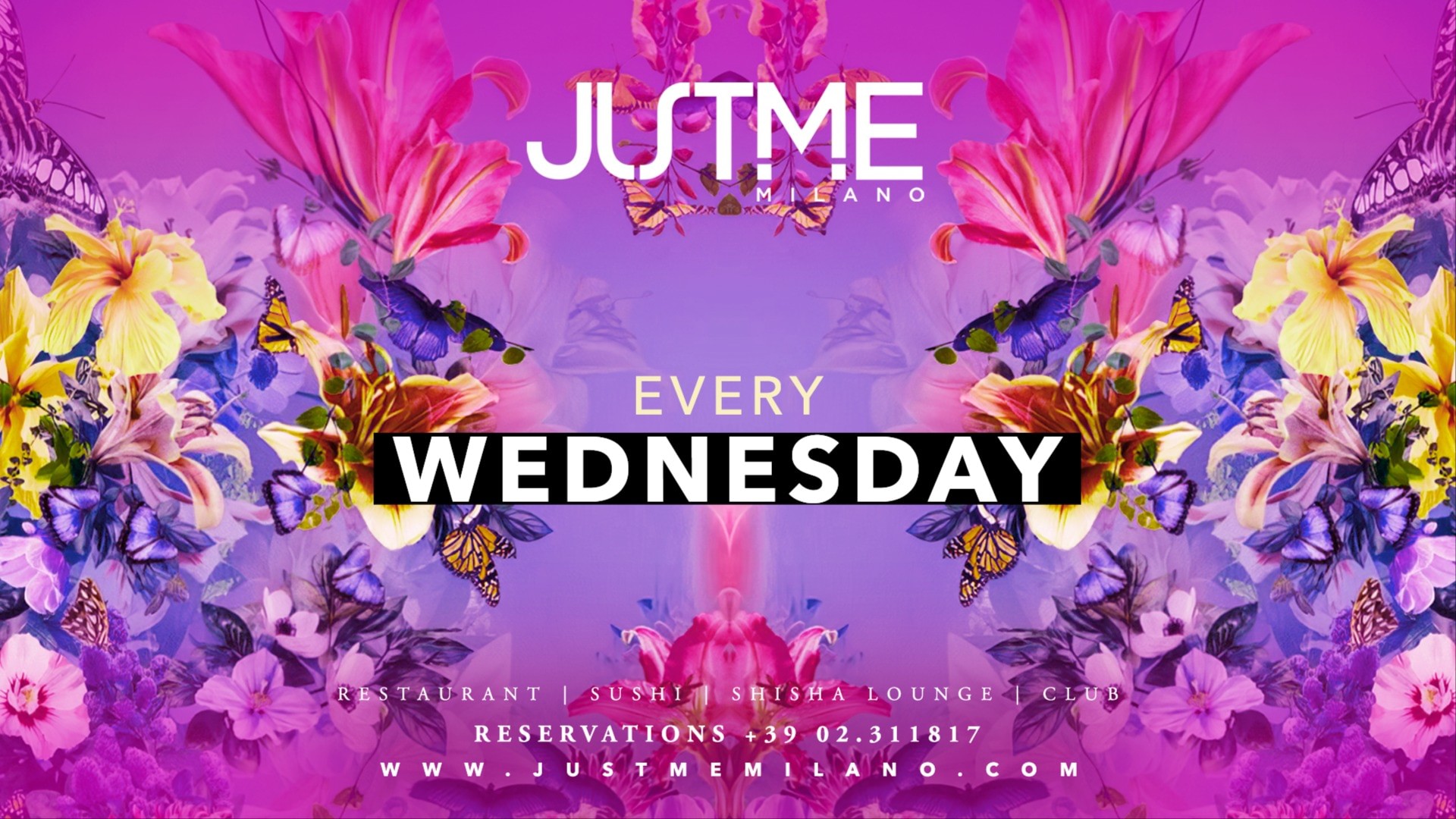 Wednesday Night image