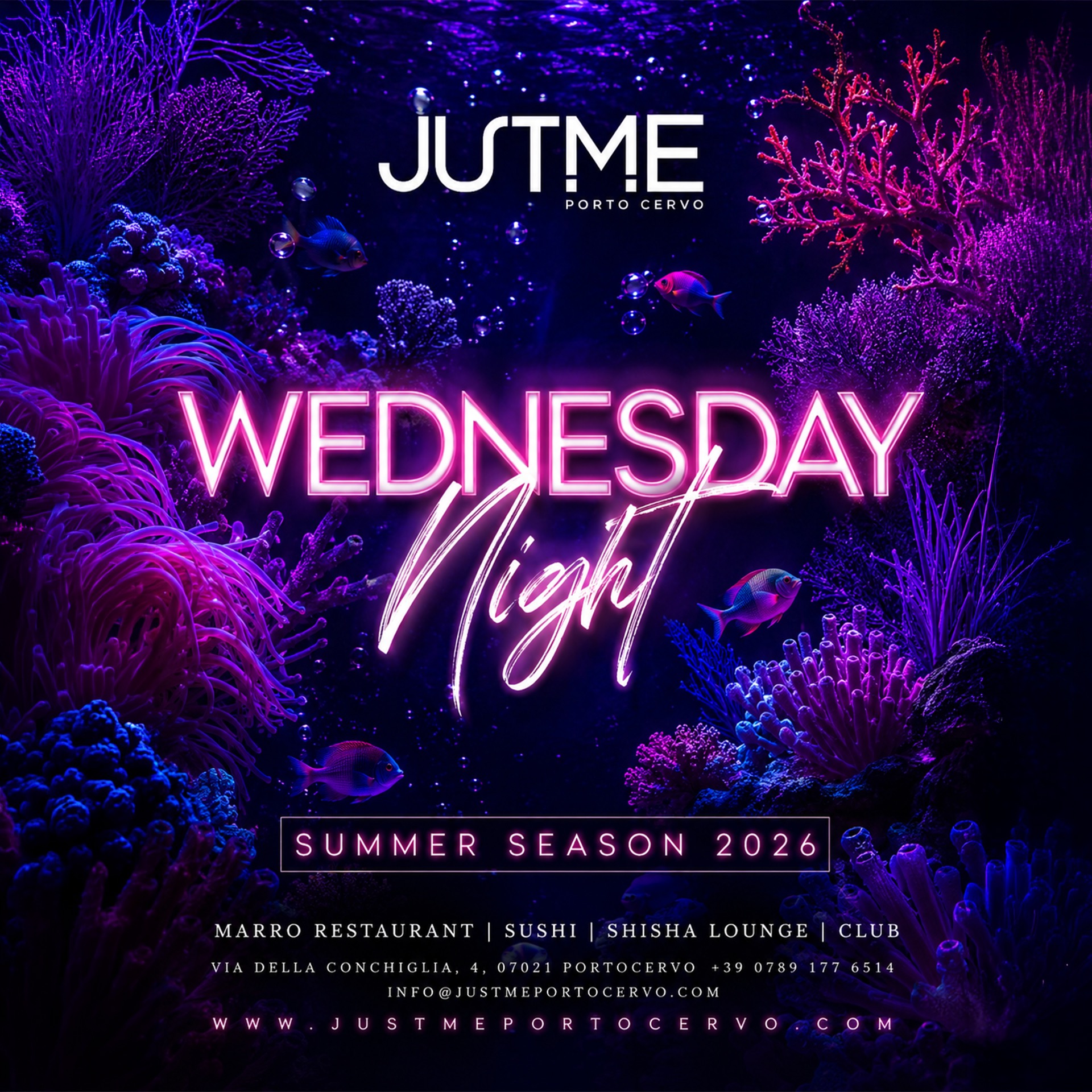 Wednesday Night