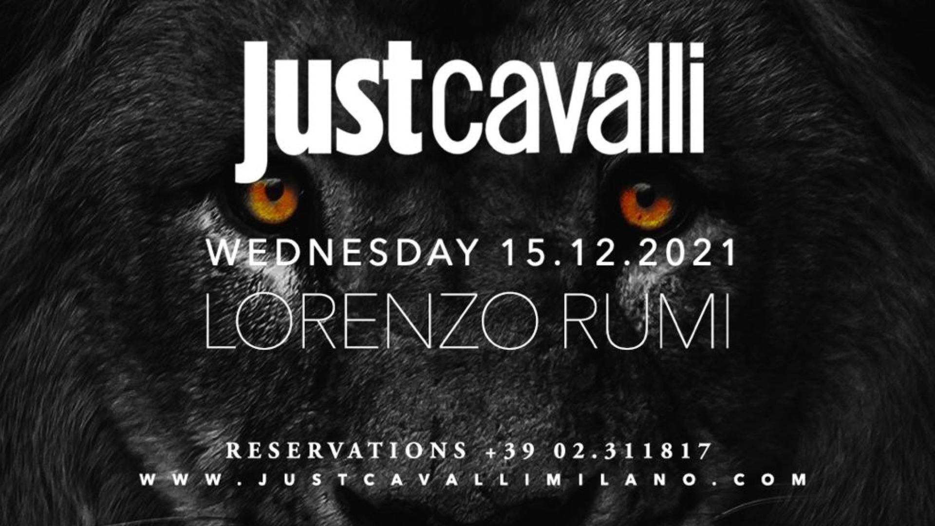 LORENZO RUMI - WEDNESDAY NIGHT image