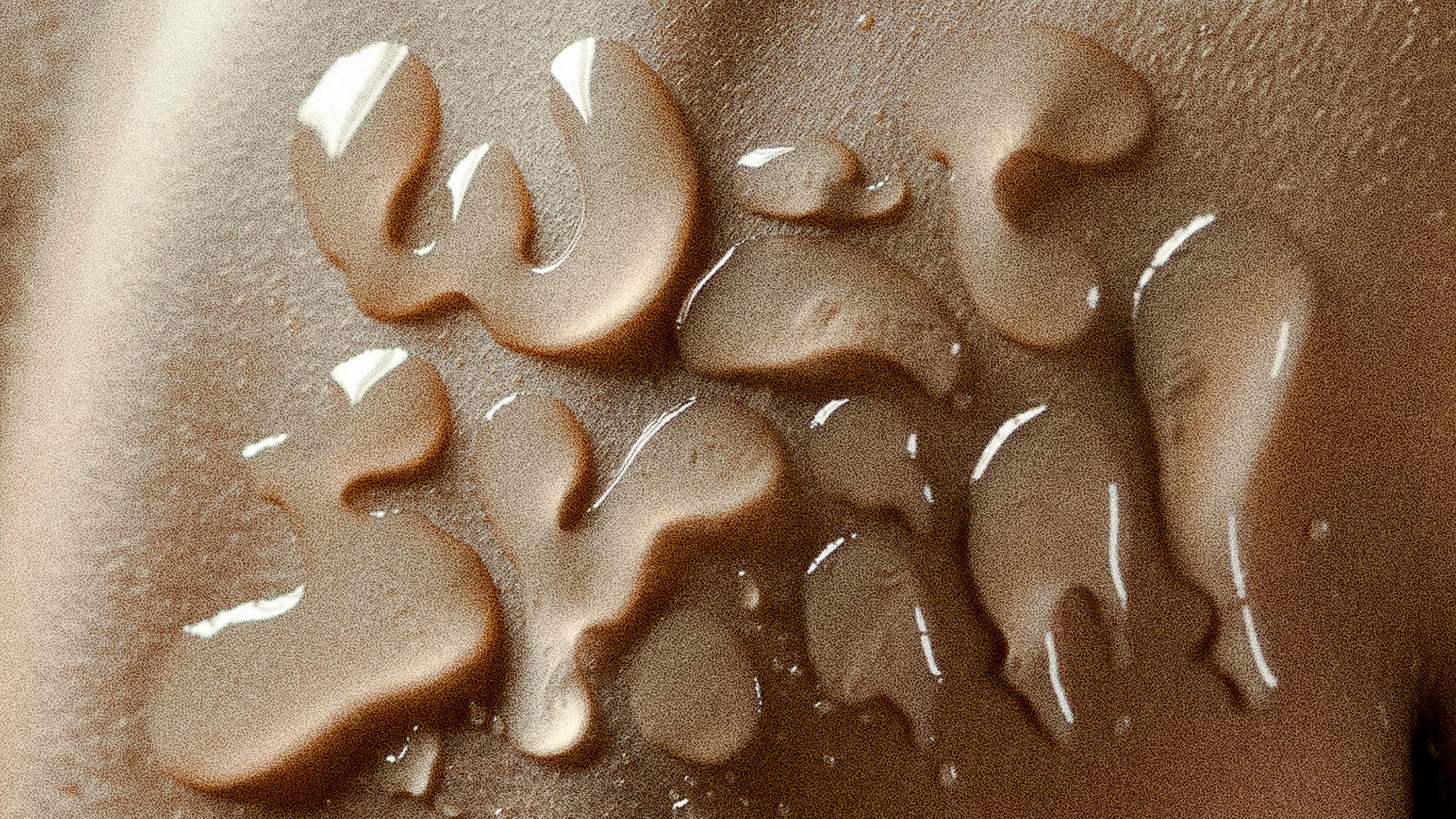 WET SKIN pres. CHRISTOPH FAUST b2b JARDINERO, NAJEH b2b SHIMMY ROBIN, KATY DE JESUS uvm  @ TRANZIT.  image