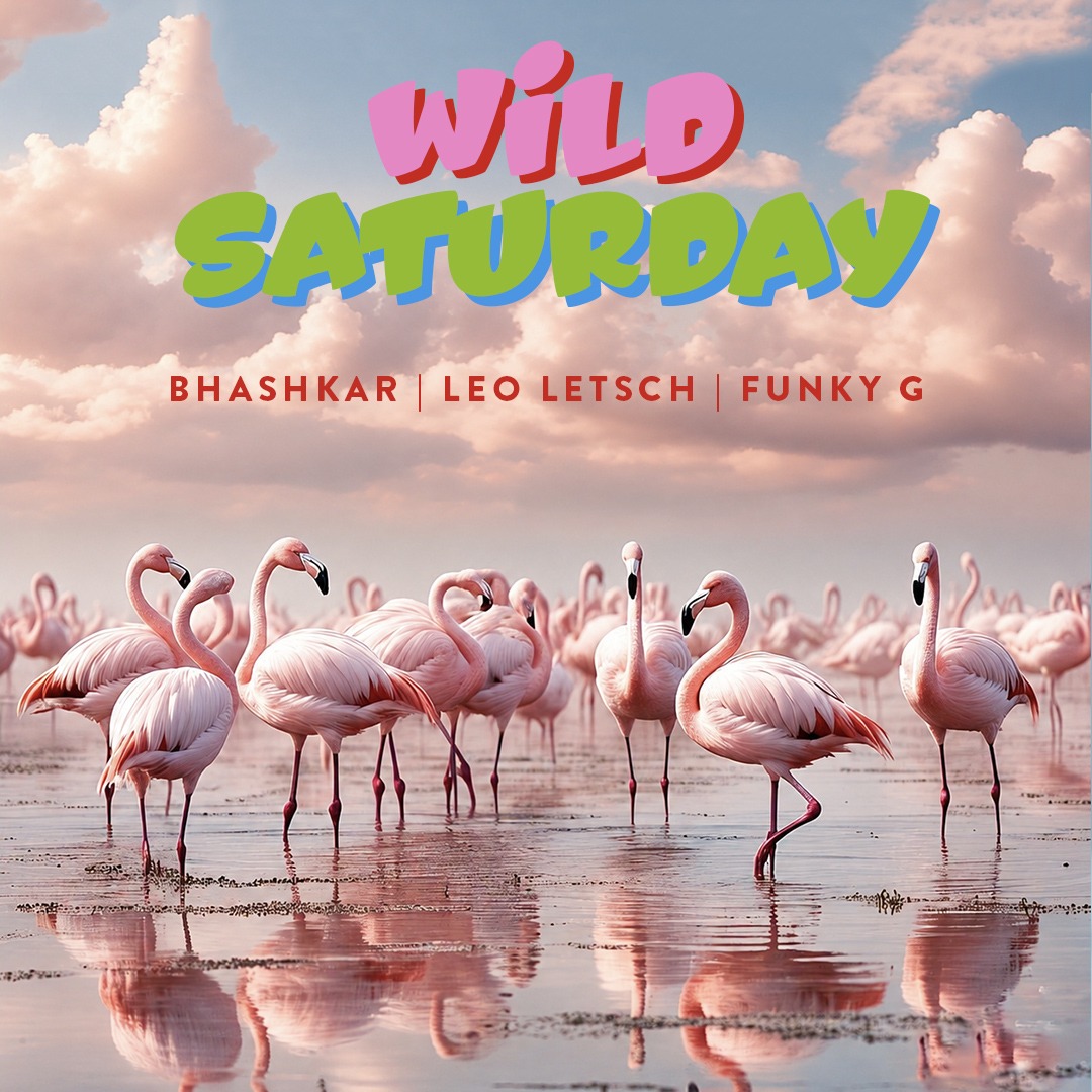 Wild Weekend - Sat image