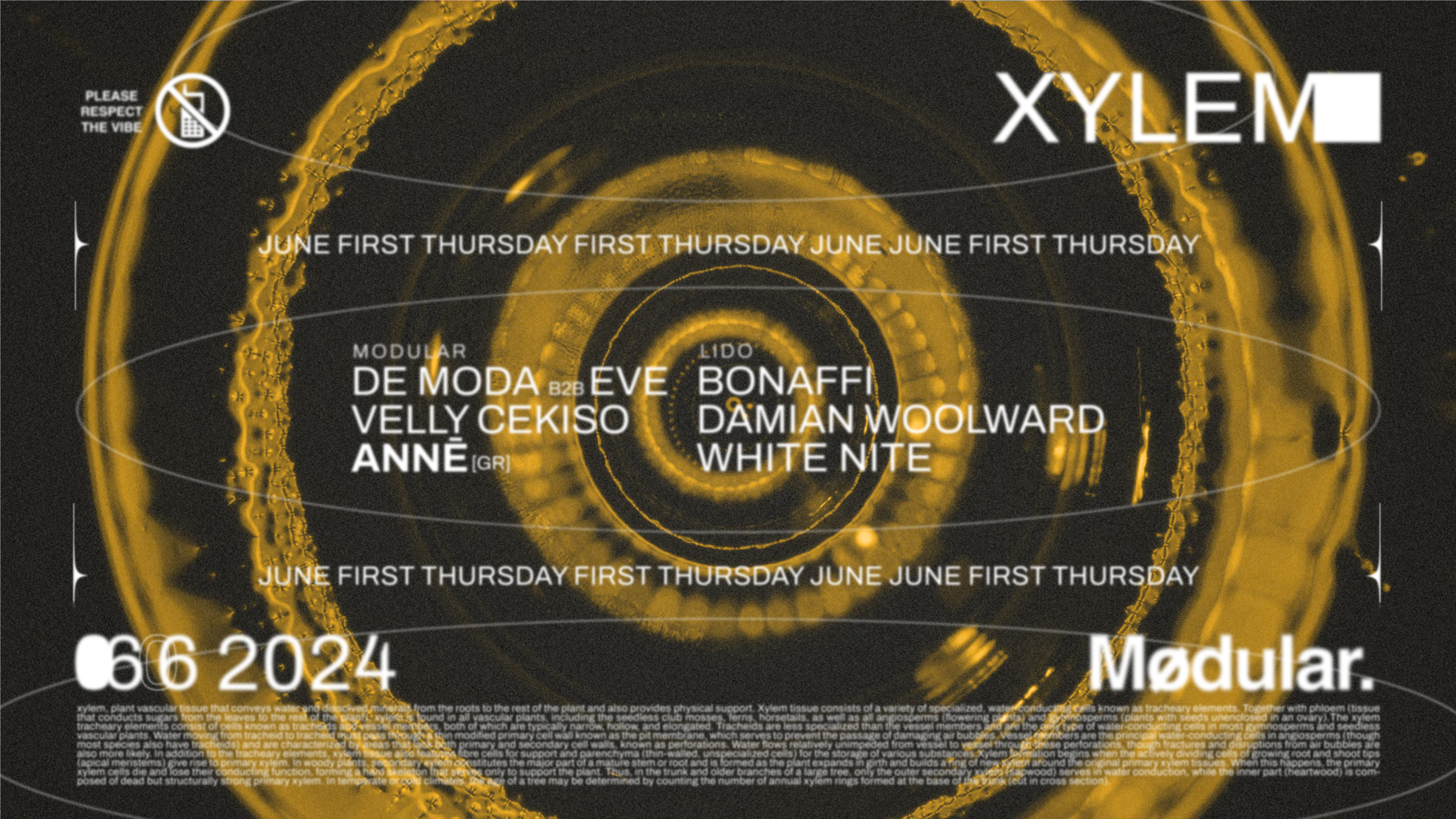 Xylem First Thursdays Pres. Annē | Modular. Precinct image