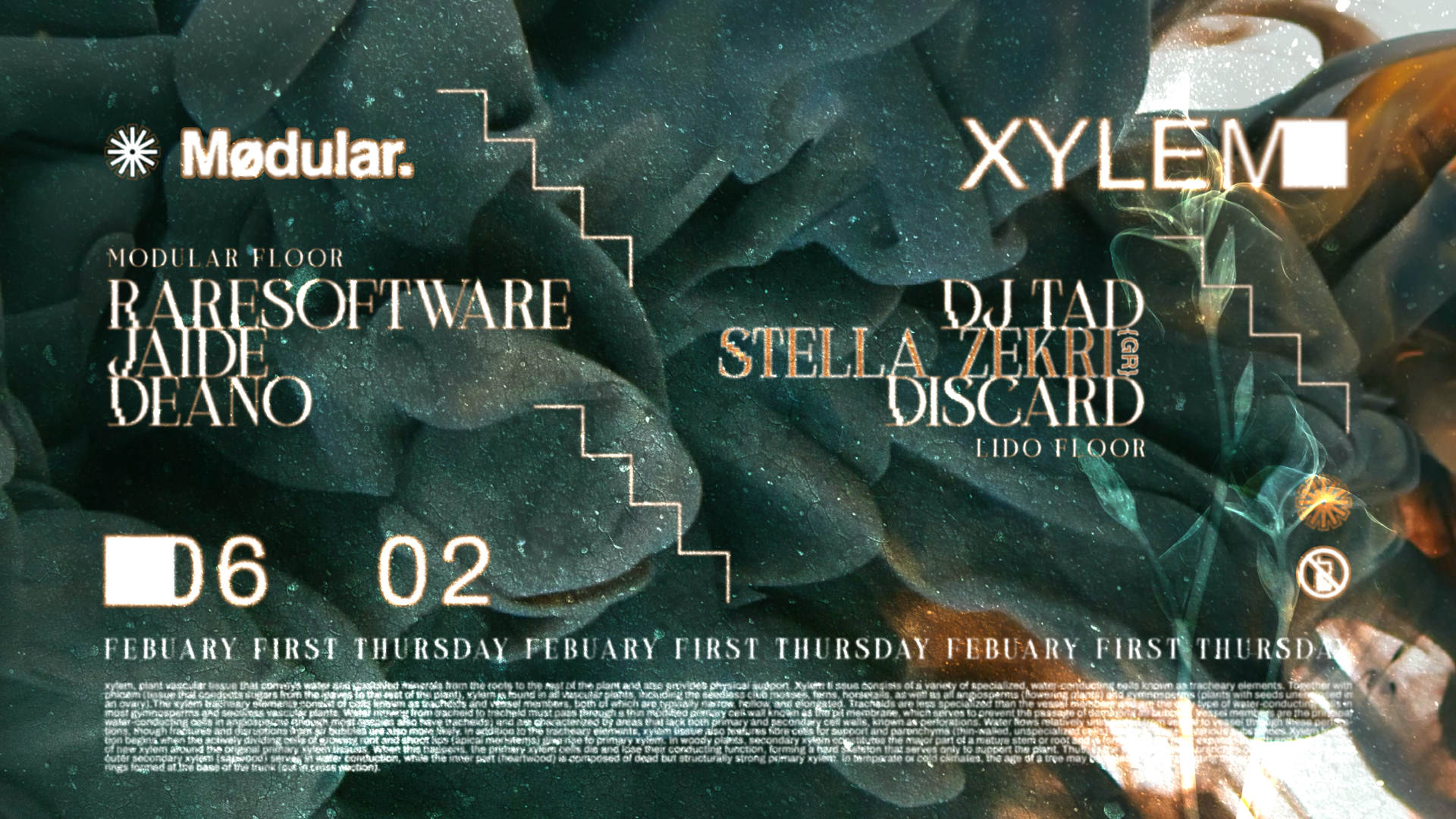 Xylem First Thursdays W/ Stella Zekri | Modular. Precinct image