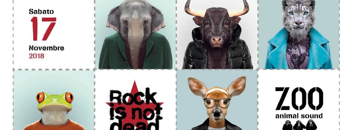 ZOO rock is not dead - Ferrara rock image