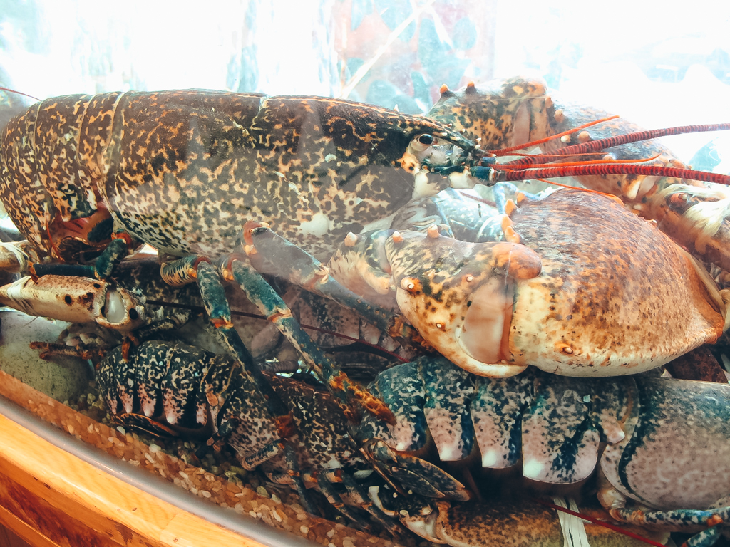 Marquês de Palma image