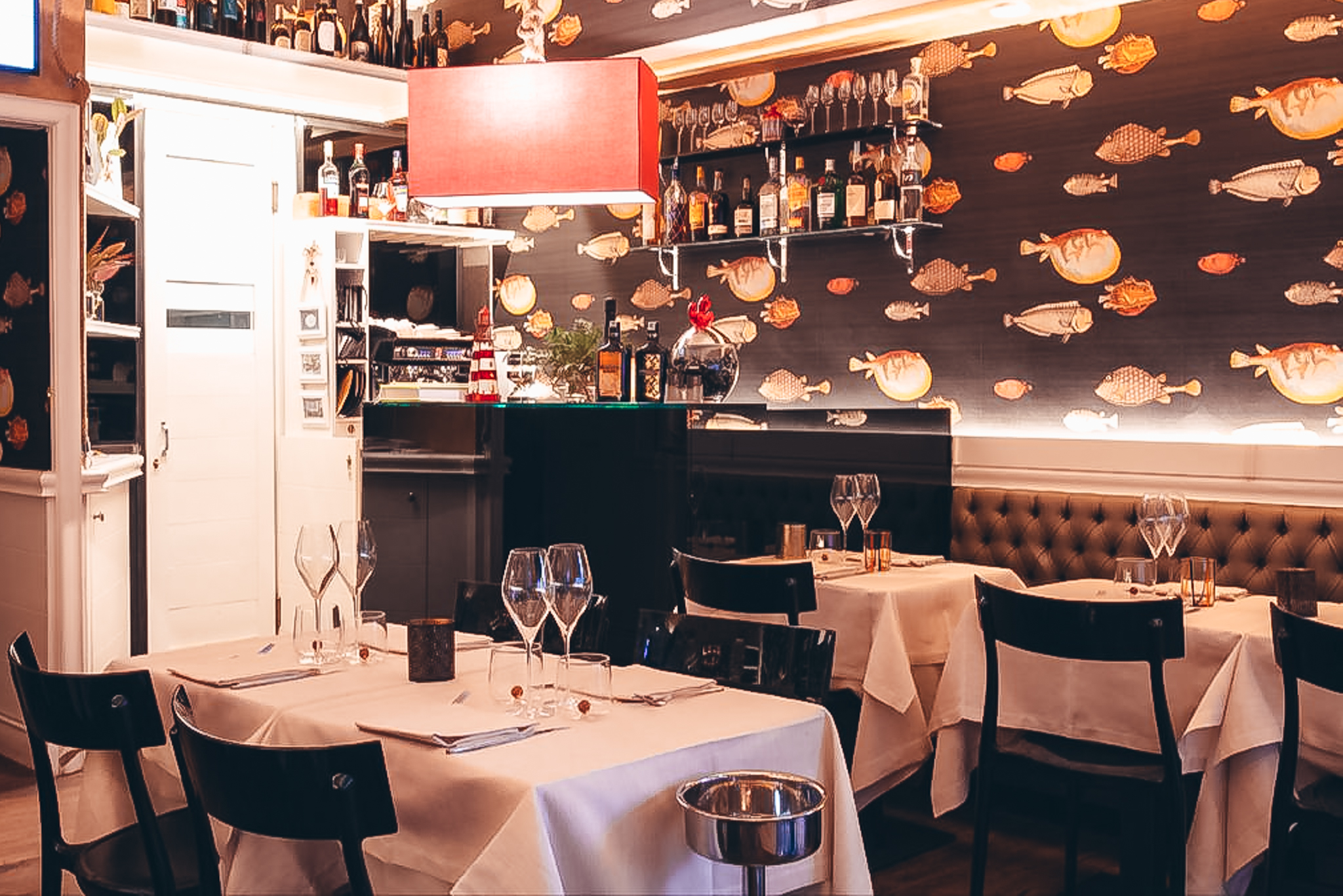 AlexAmber Fish Cuisine gallery image