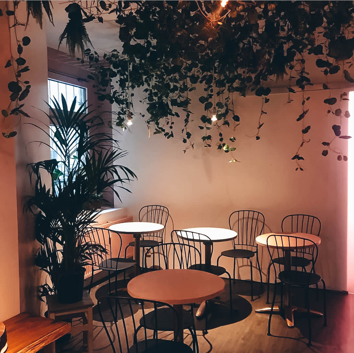 Avocado Club gallery image