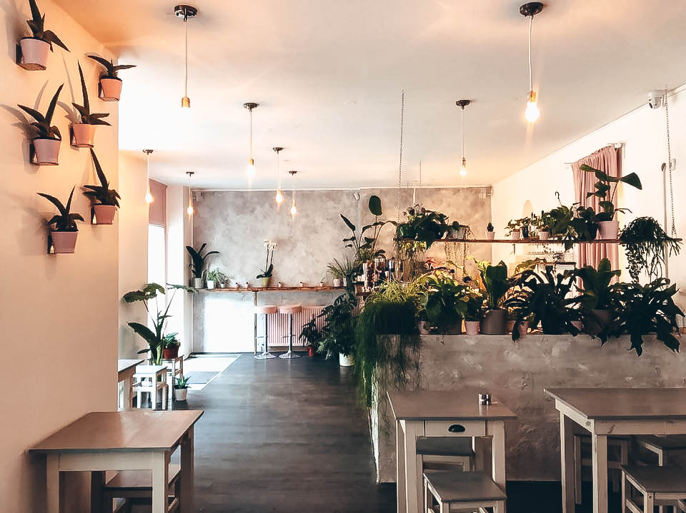 Avocado Club gallery image