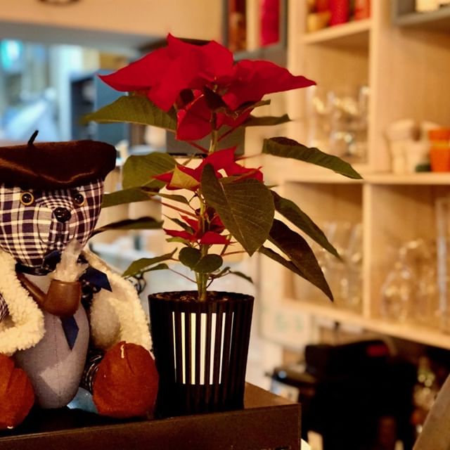 Bizikletak gallery image