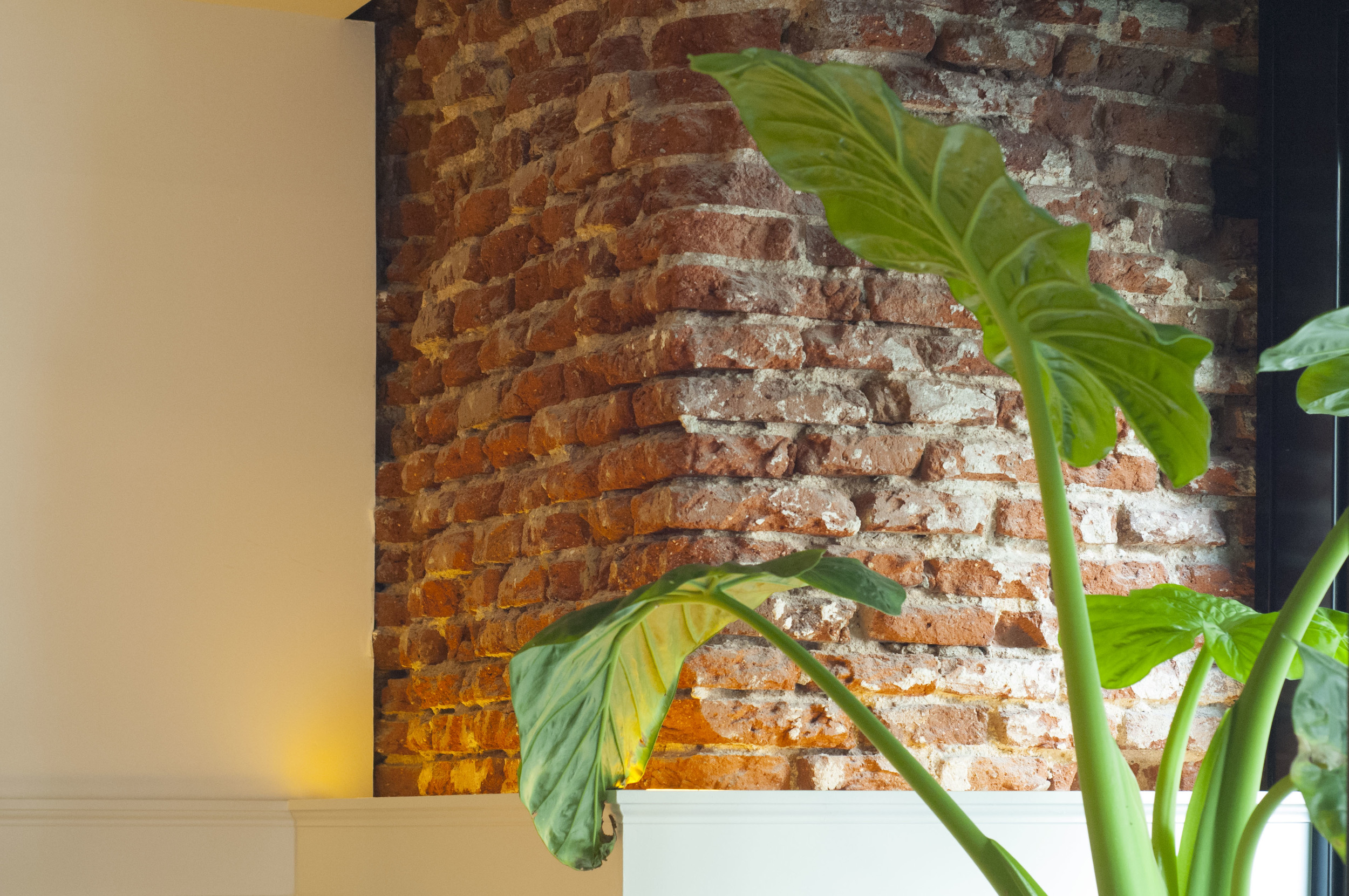 Canibar Raw gallery image