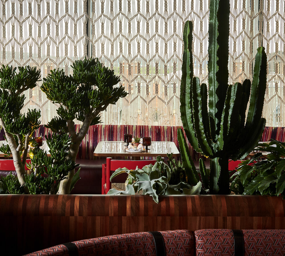 Decimo gallery image