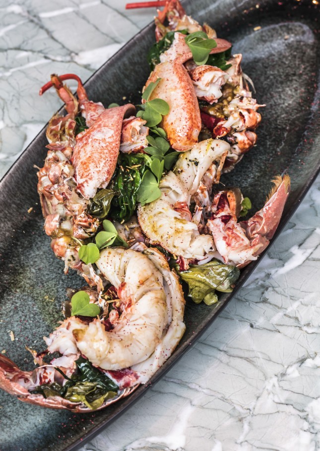 Divellec gallery image