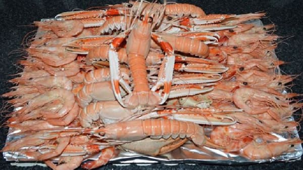 El Timón Del Terraza gallery image