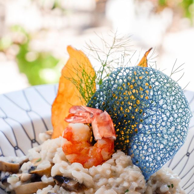 Gavino gallery image