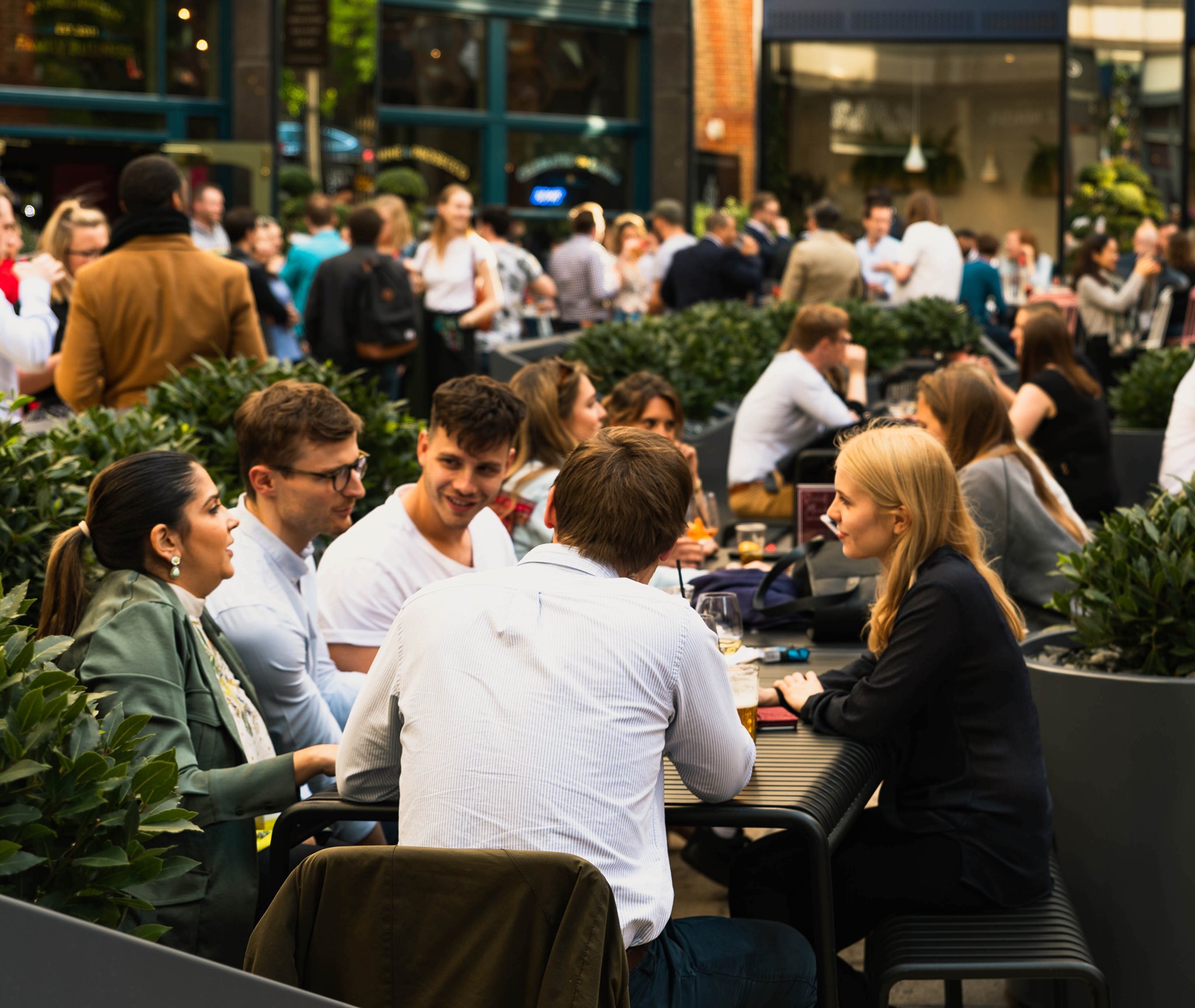 Kindred gallery image