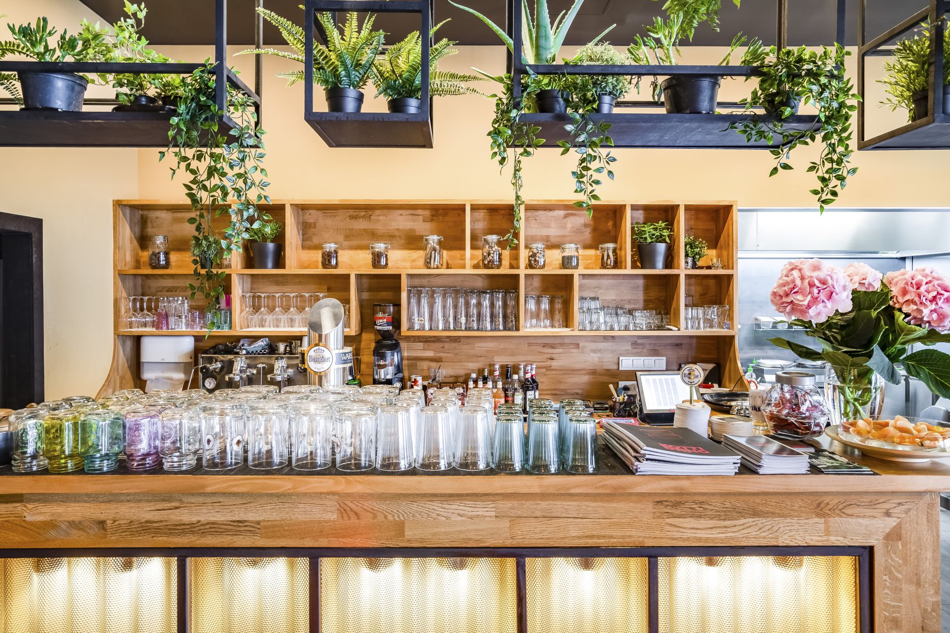 Kotti Dang gallery image