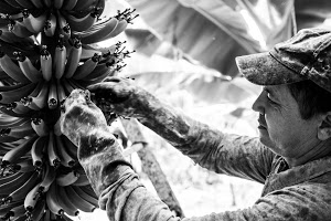 La Octava Isla gallery image