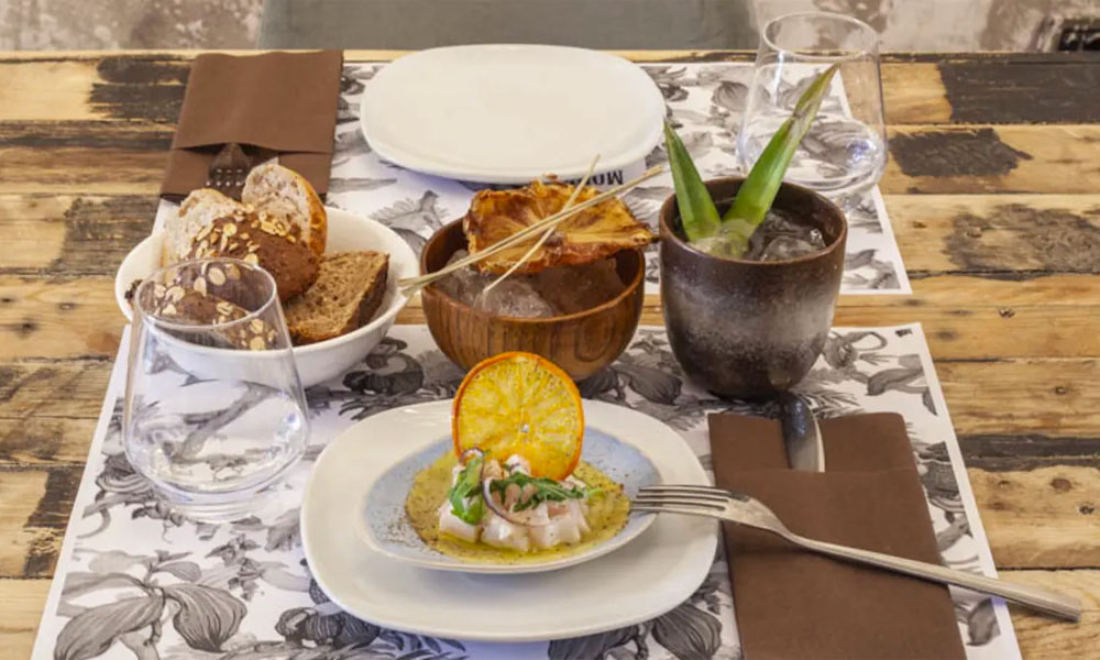 Monkey in The City gallery image