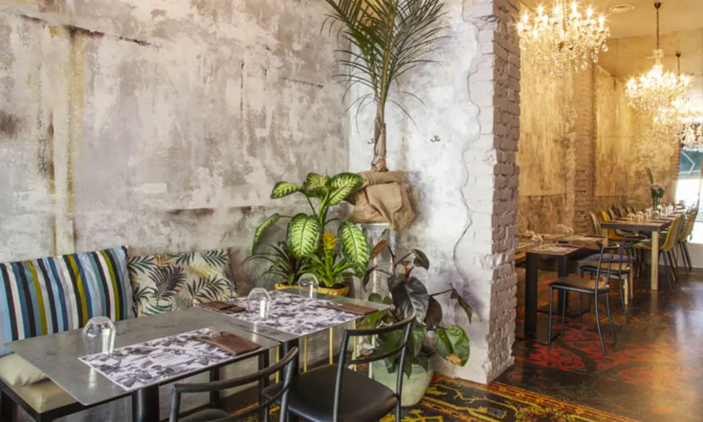 Monkey in The City gallery image