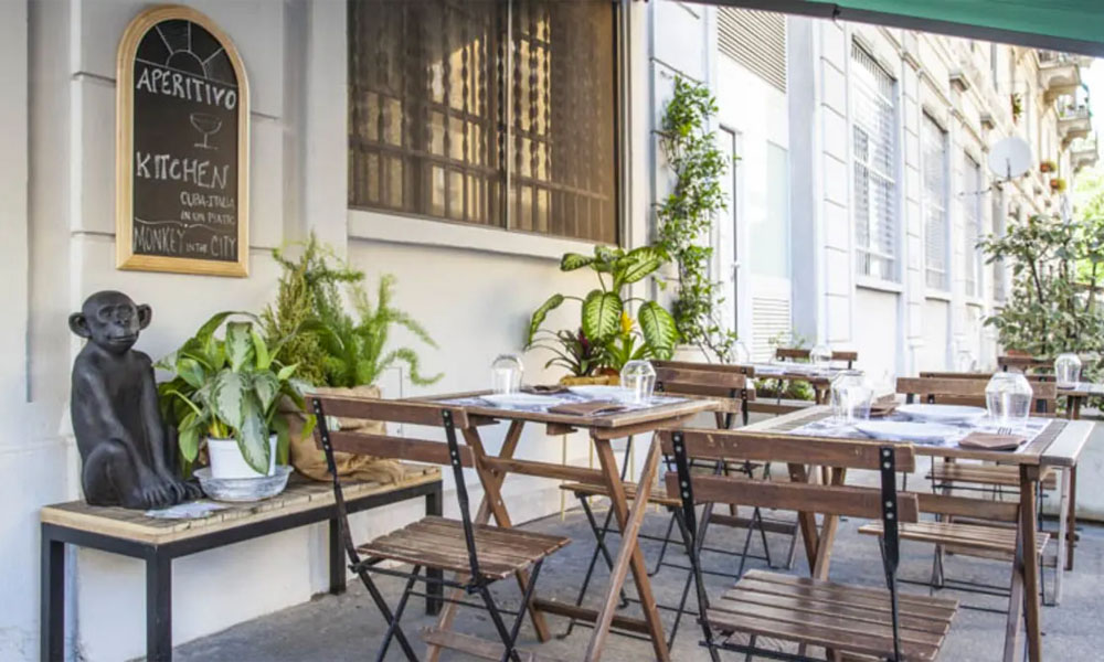 Monkey in The City gallery image