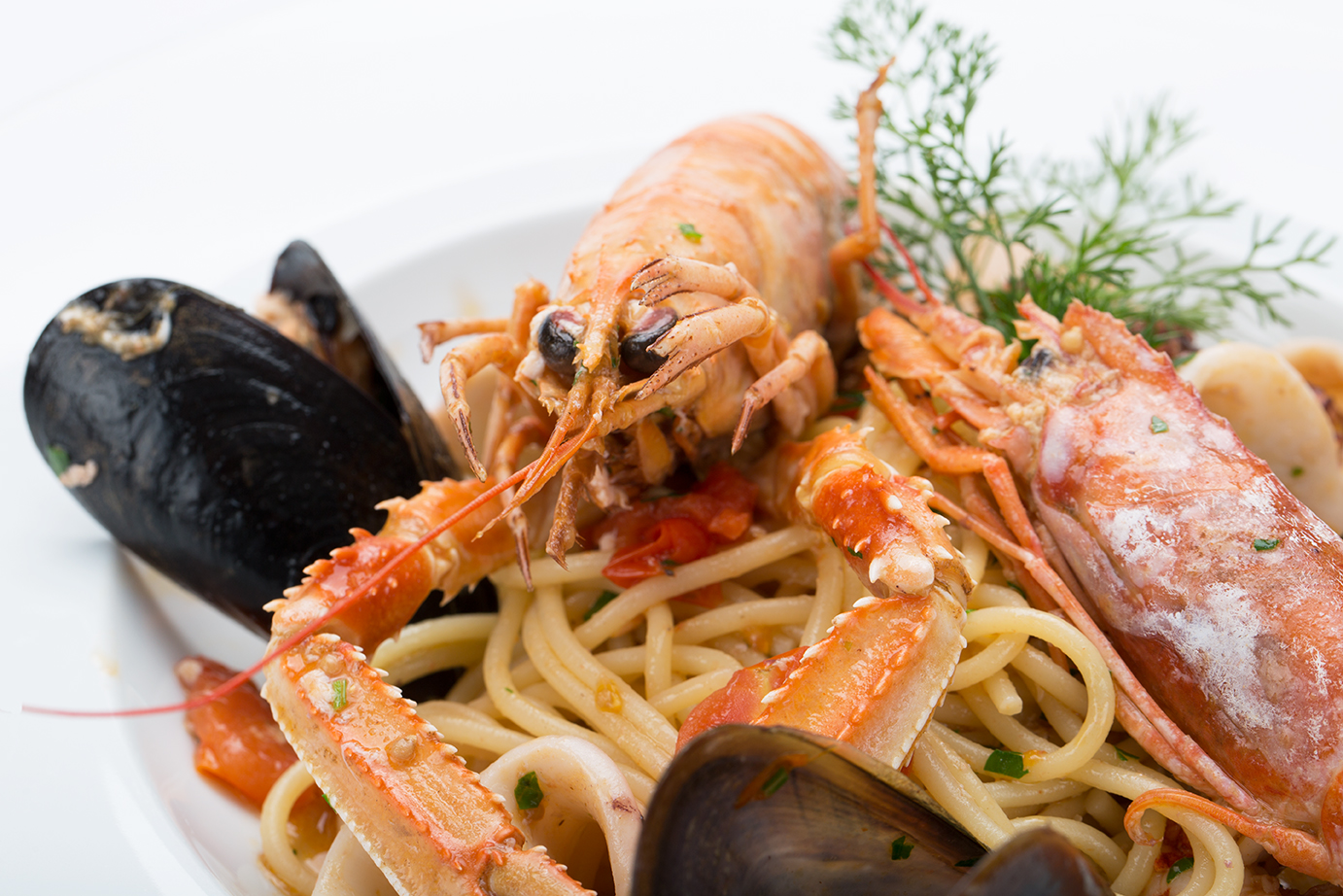 My Primè gallery image