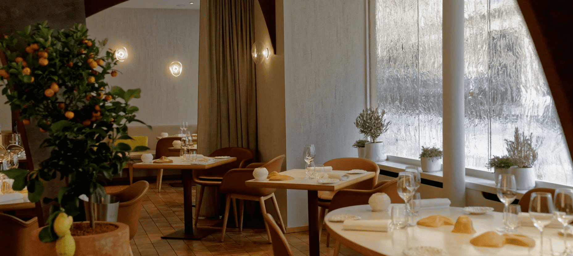 Nomicos gallery image