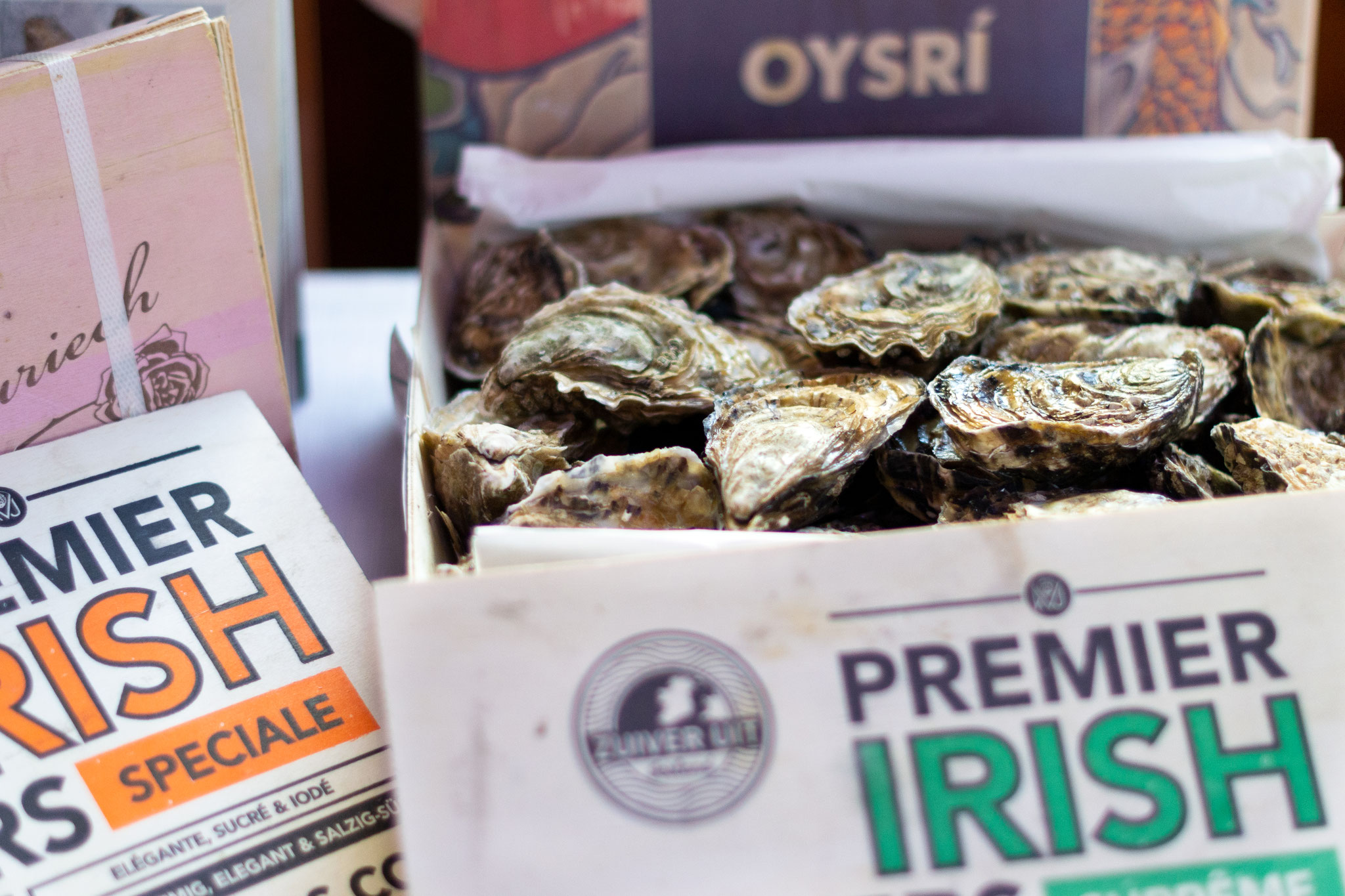 Nuovo Yacht gallery image