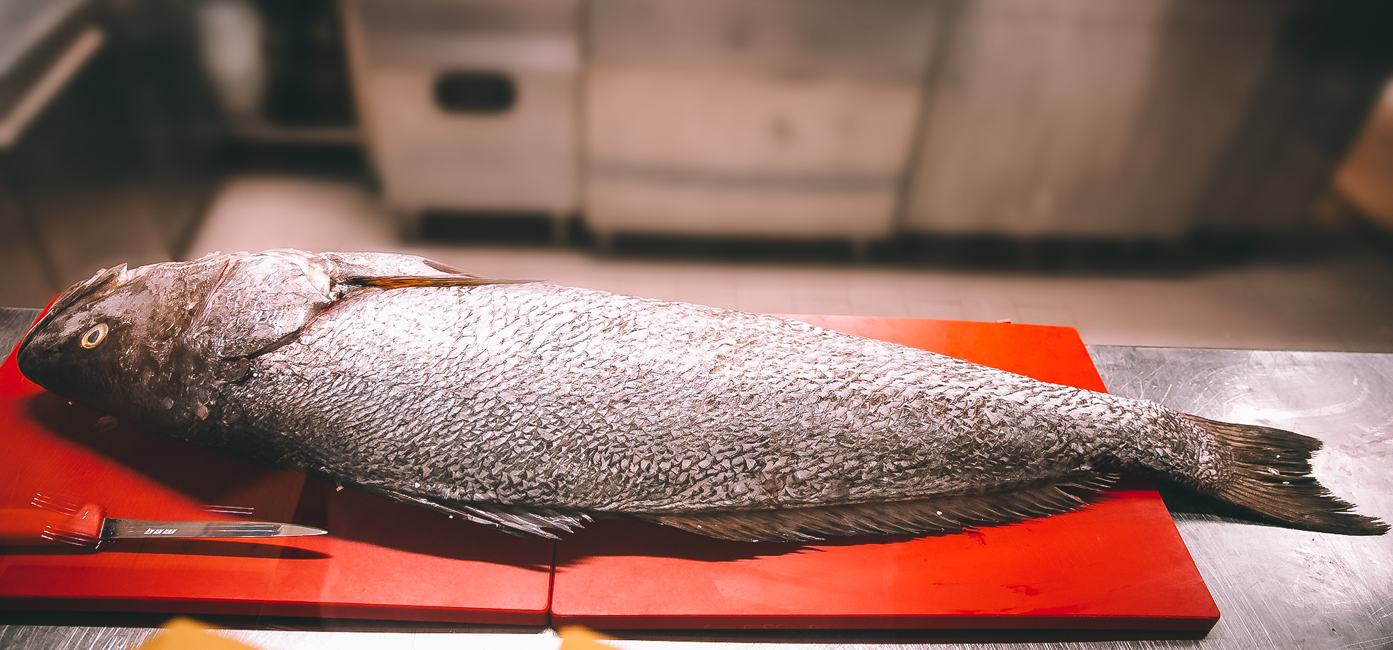 Ristorante Aroma Osteria gallery image