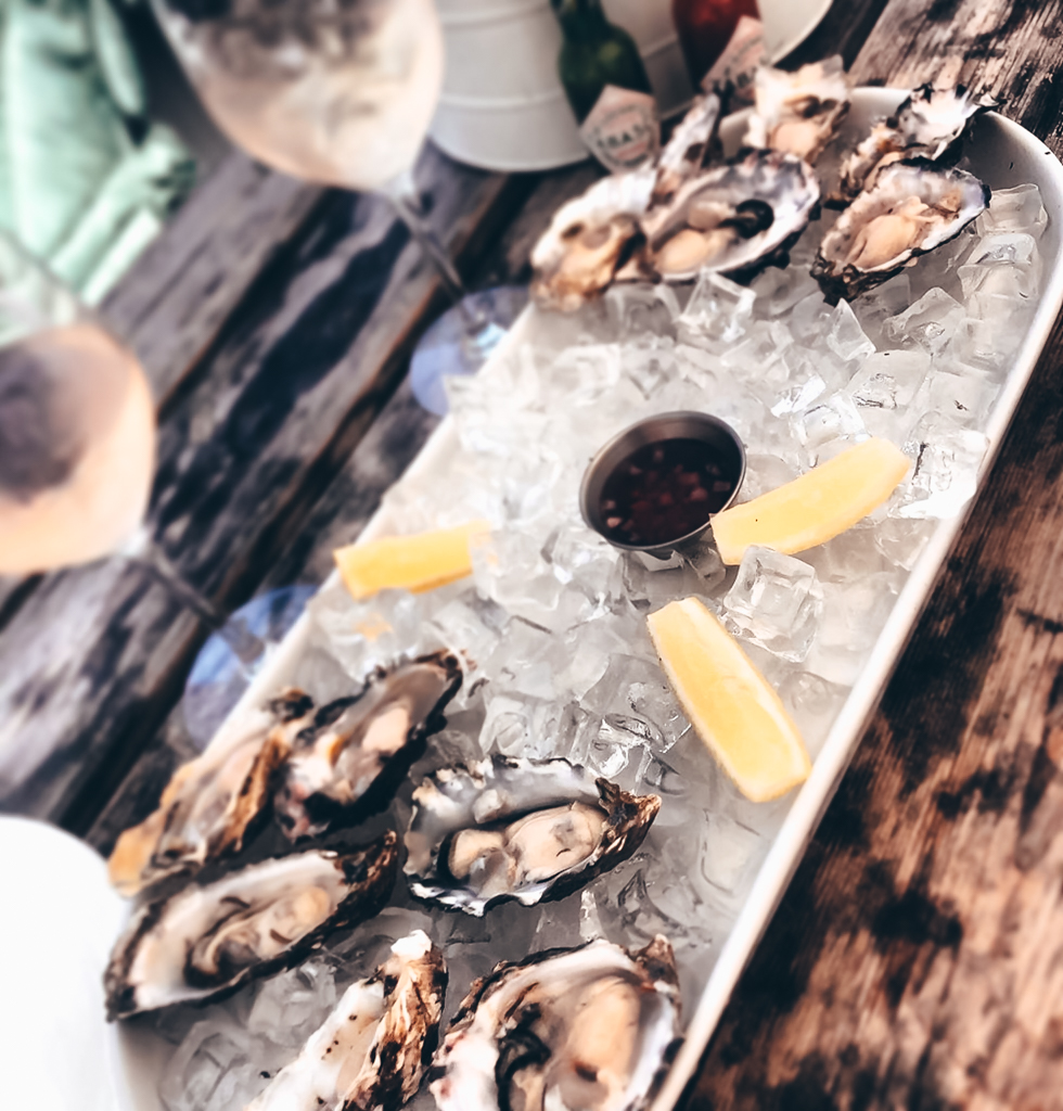 SeaBreeze Fish & Shell gallery image