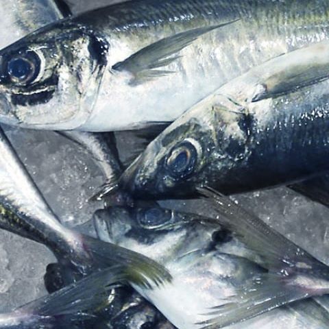 Taberna do Capitão gallery image