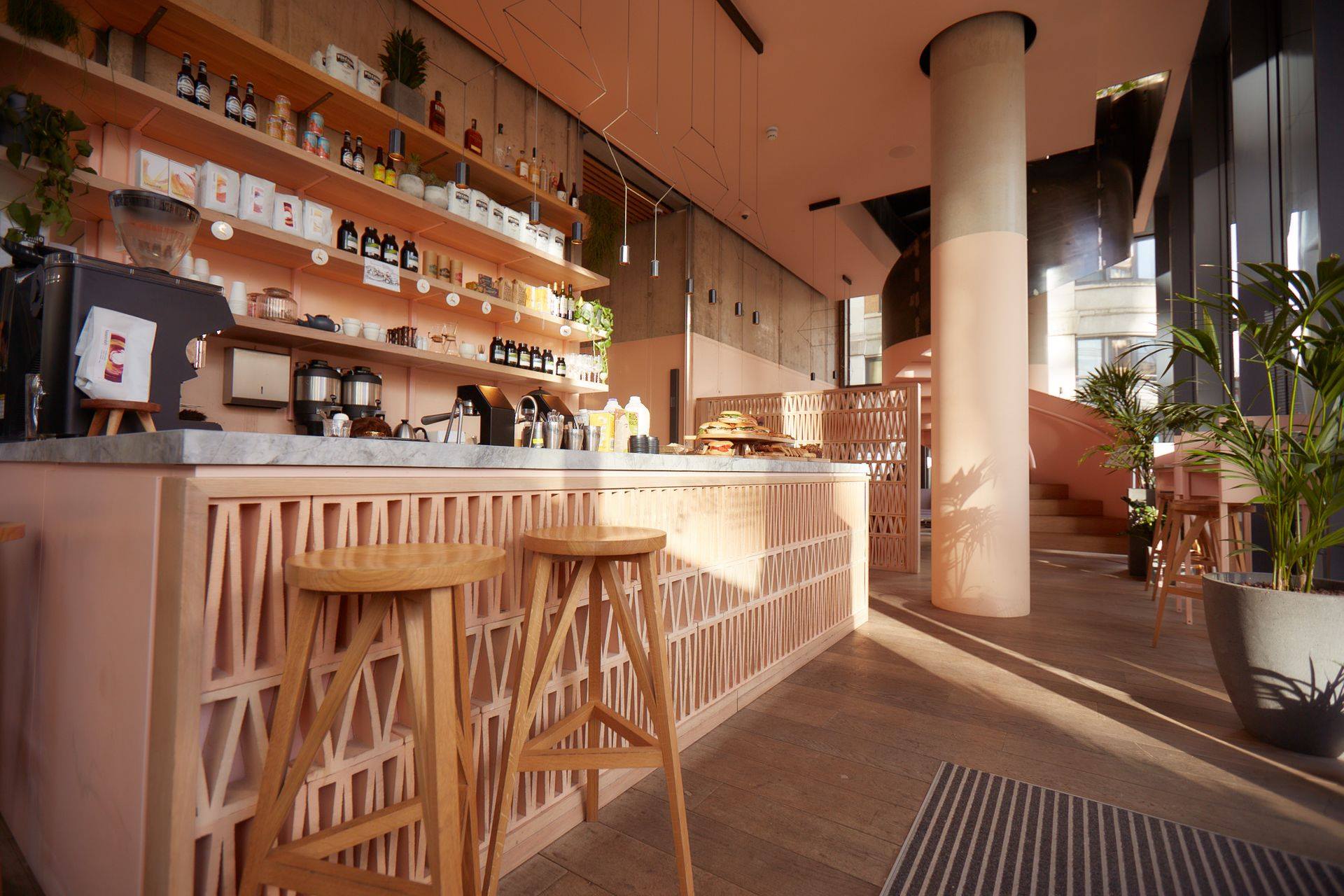 Treves & Hyde gallery image